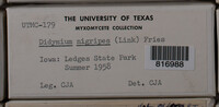 Image Associated With the Occurence